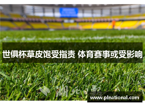 世俱杯草皮饱受指责 体育赛事或受影响